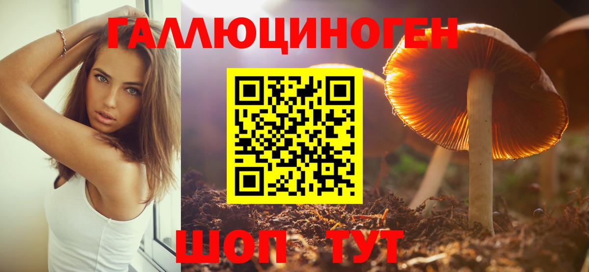 Заволжье  Галлюциногенные грибы Psilocybe  как найти закладки  Вход с VPN 